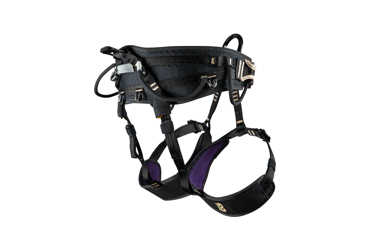 DRAGON (SIT) - Image 3