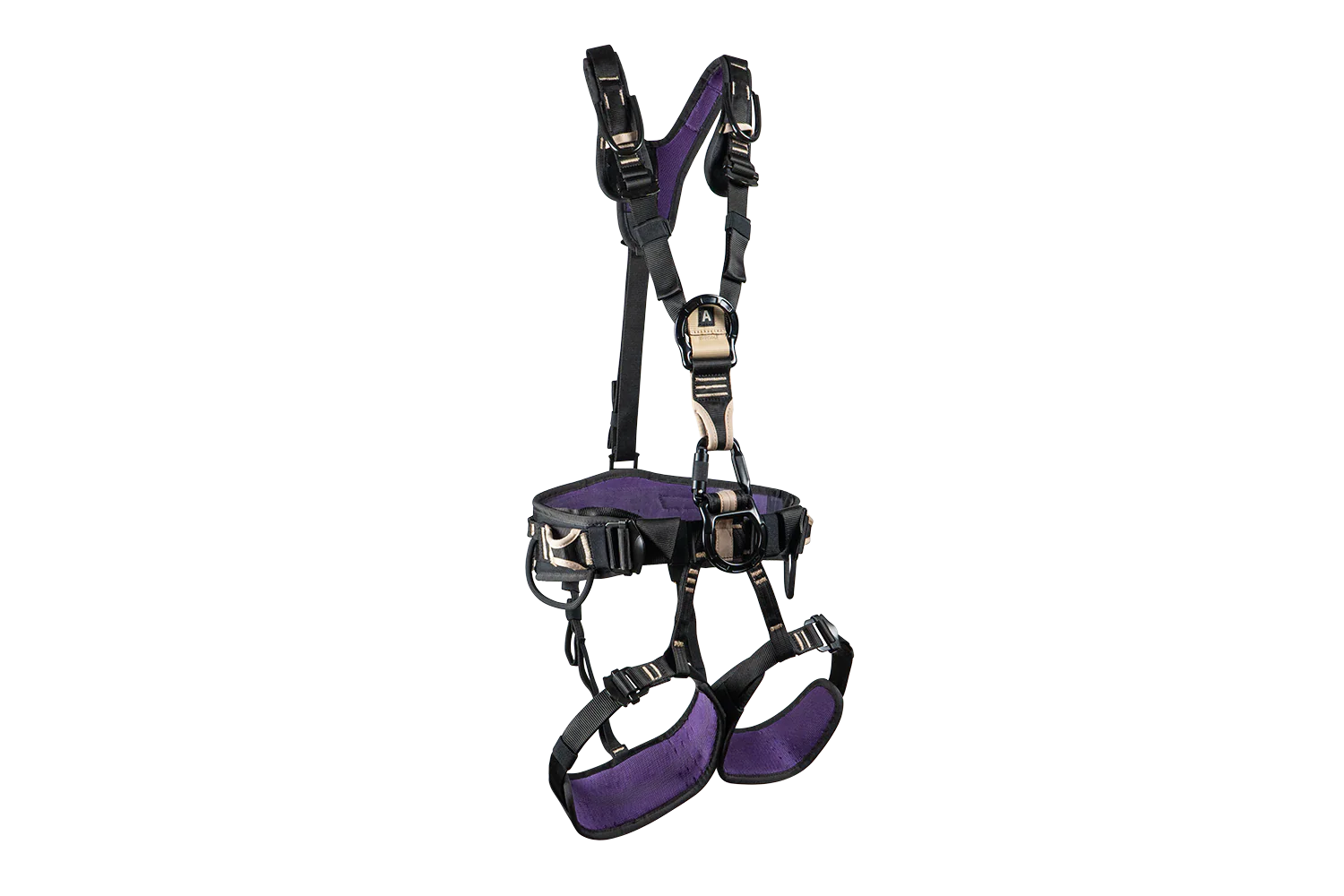 DRAGON (SIT) - Image 6