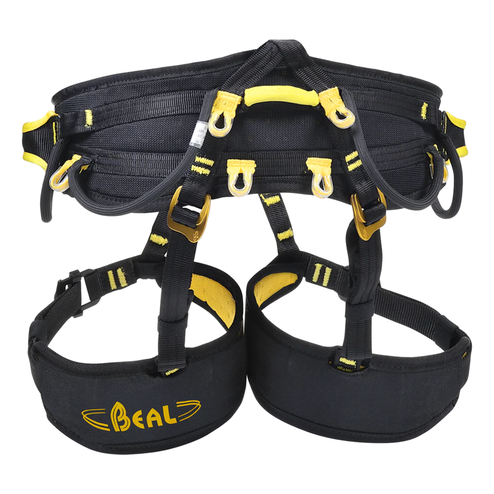 DRAGON (SIT) - Image 7