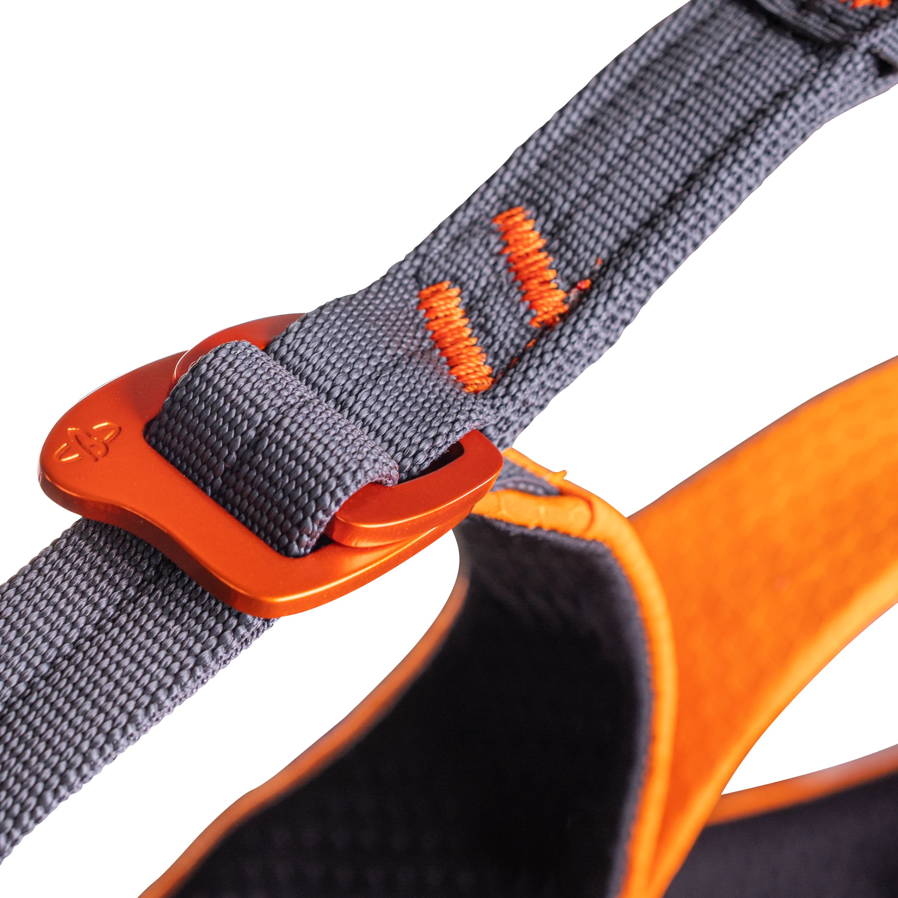 ELLIPSE XT - Image 11